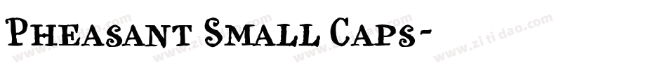 Pheasant Small Caps字体转换